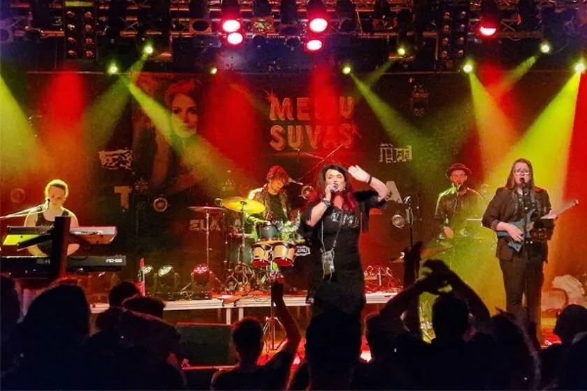 Meiju Suvas at a concert.